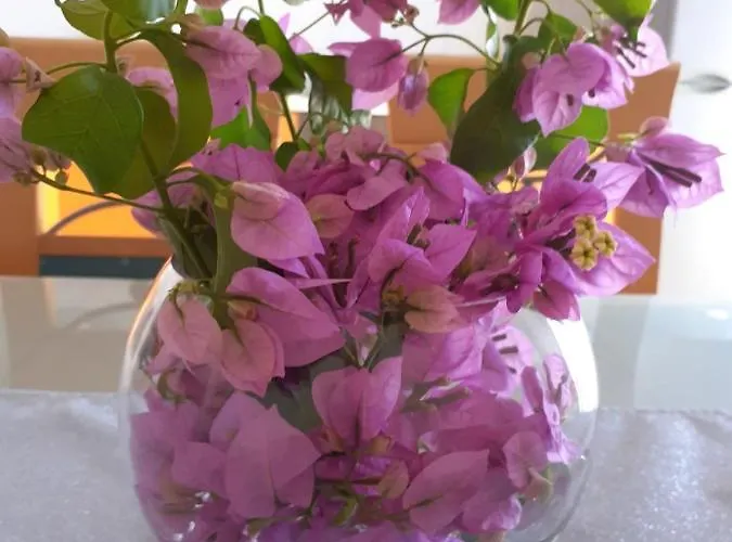 Lejlighed Sanda I Leo