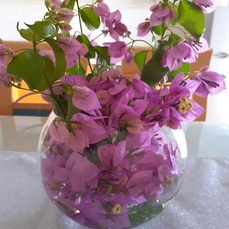 דירה Sanda I Leo